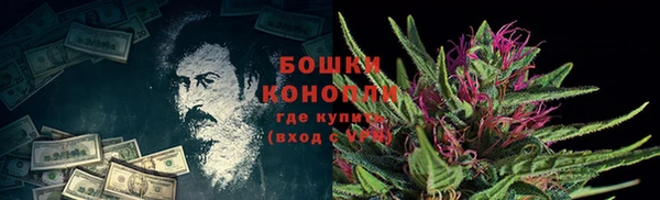 хмурый Вяземский