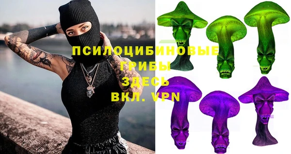 хмурый Вяземский