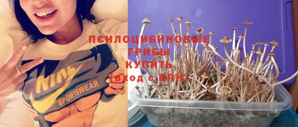 мдпв Вязники