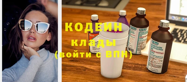хмурый Вяземский