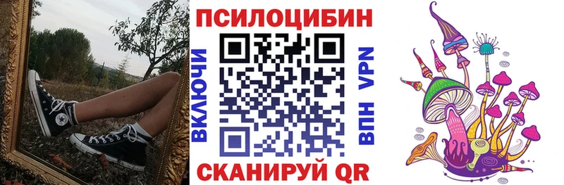 Купить закладки  Карасук  Псилоцибиновые грибы Psilocybe 